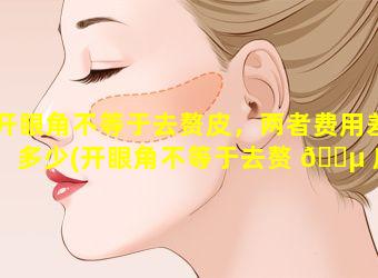 开眼角不等于去赘皮，两者费用差多少(开眼角不等于去赘 🐵 皮,两者费 🐯 用差多少)